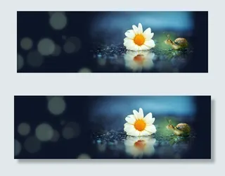 高清炫彩花卉banner背景　