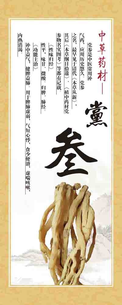 医院展板中草药党参展板psd