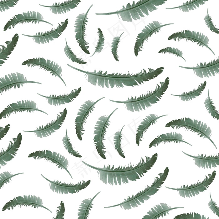 花鸟矢量图