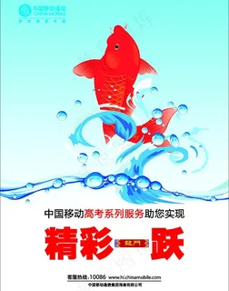 鲤鱼跃龙门图片