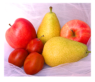 天然果蔬营养网页模板