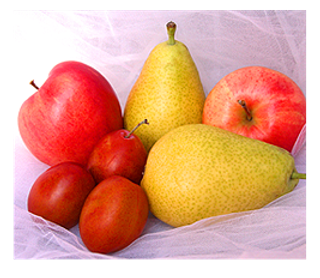 天然果蔬营养网页模板