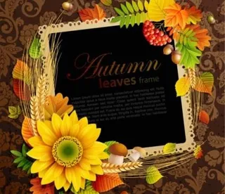 美丽的秋天树叶帧背景08矢量