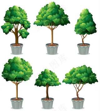 精美大树树木设计矢量素材