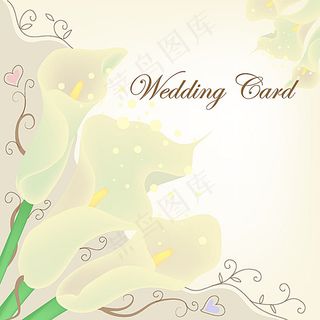 马蹄莲底纹背景