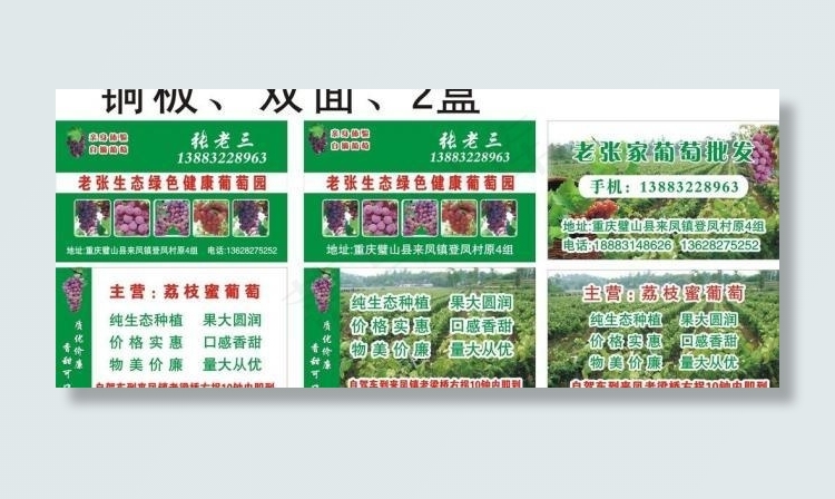 葡萄名片图片cdr矢量模版下载