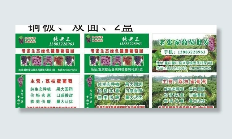 葡萄名片图片cdr矢量模版下载