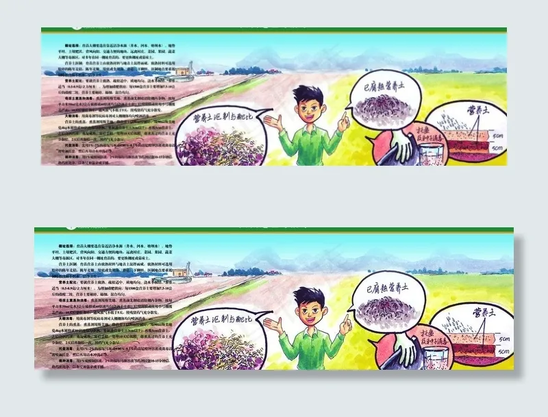 烟草大棚选址与消毒图片(6583X2334(DPI:38))psd模版下载