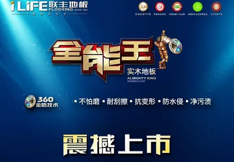联丰地板全能王海报图片
