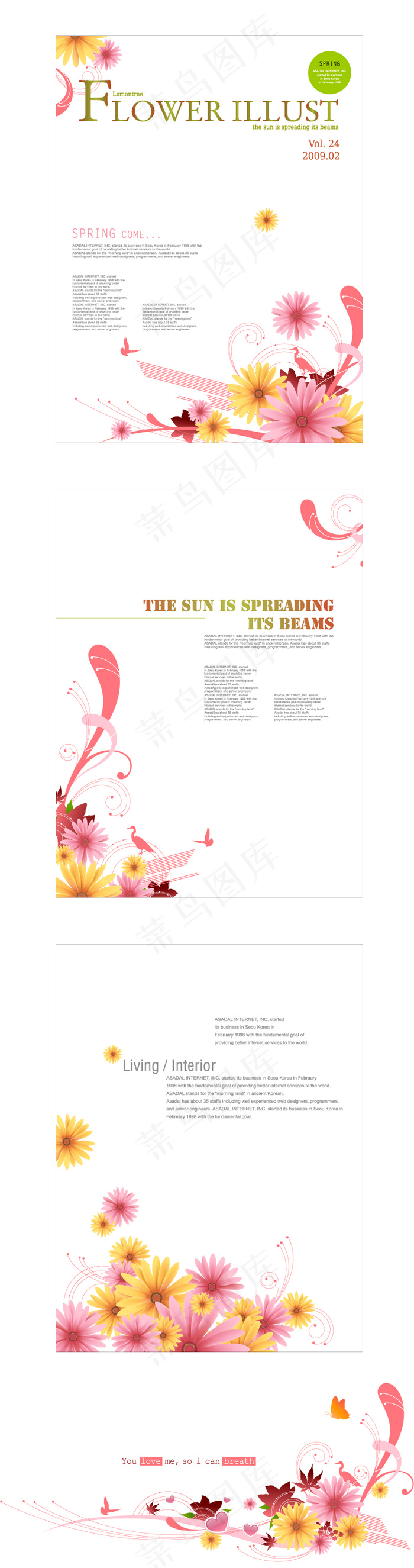 雏菊花朵主题矢量素材