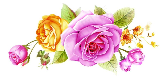 手绘玫瑰花图片