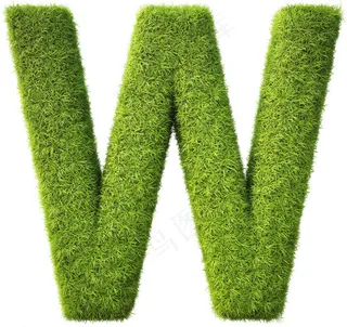 绿草字母图片