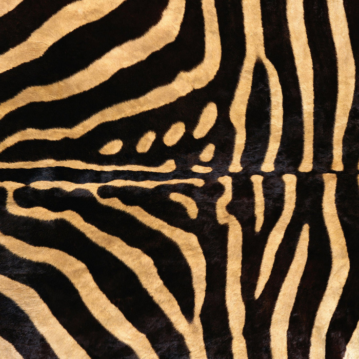 实物面料 动物皮纹 斑马皮 免费素...
