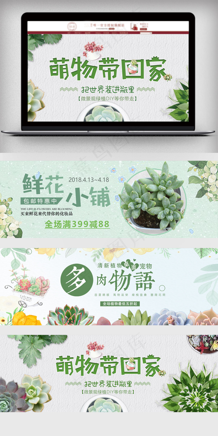 小清新盆栽多肉电商海报
