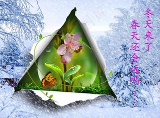 冬天来了 春天还会远吗图片