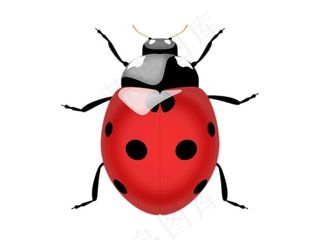 手绘卡通七星飘虫免抠素材PSD分层