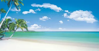 蓝天海滩椰树图片