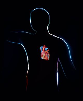 人体心脏器官设计矢量素材