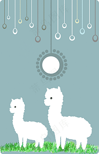 羊驼图片