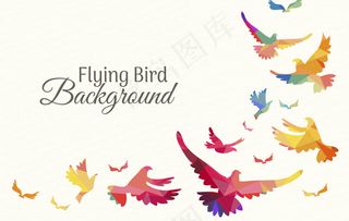 五彩鸟的动物素材背景