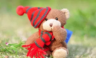 圣诞小熊哈利图片