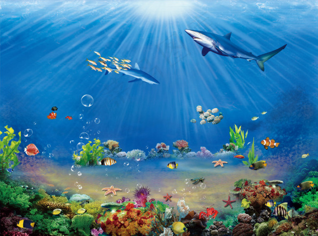 绚丽海洋海底世界(4394X3260(DPI:72))psd模版下载