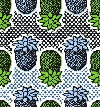 圆点菠萝数码印花设计