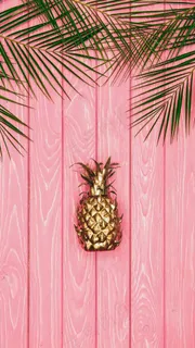 菠萝高清摄影图片