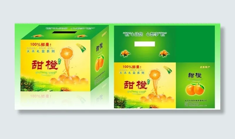 甜橙 食品包装 包装设计图片(7087X3557(DPI:200))psd模版下载