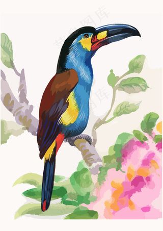 手绘巨嘴鸟油画