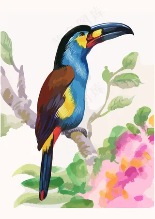 手绘巨嘴鸟油画
