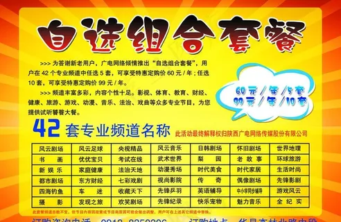 陕西广电网络彩页图片