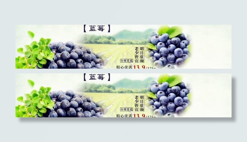 蓝莓 宣传海报图片psd模版下载