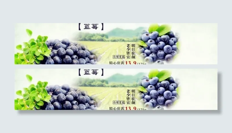 蓝莓 宣传海报图片psd模版下载