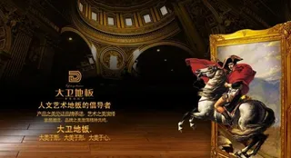 大卫木地板画册图片