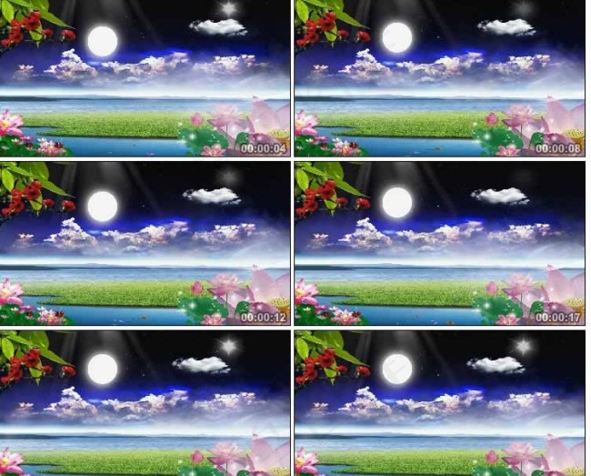 中秋夜晚视频