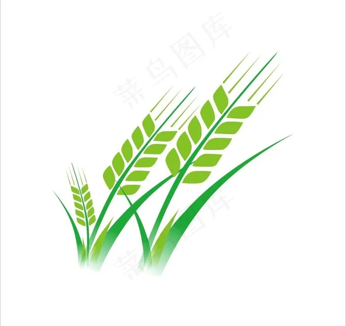 矢量小麦图片cdr矢量模版下载