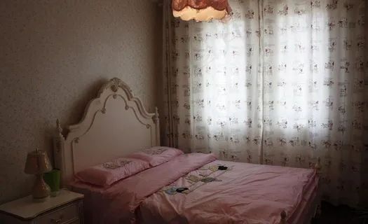 欧式装修 摄影图片