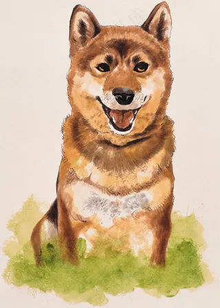 狗 家禽家畜 动物插图_08