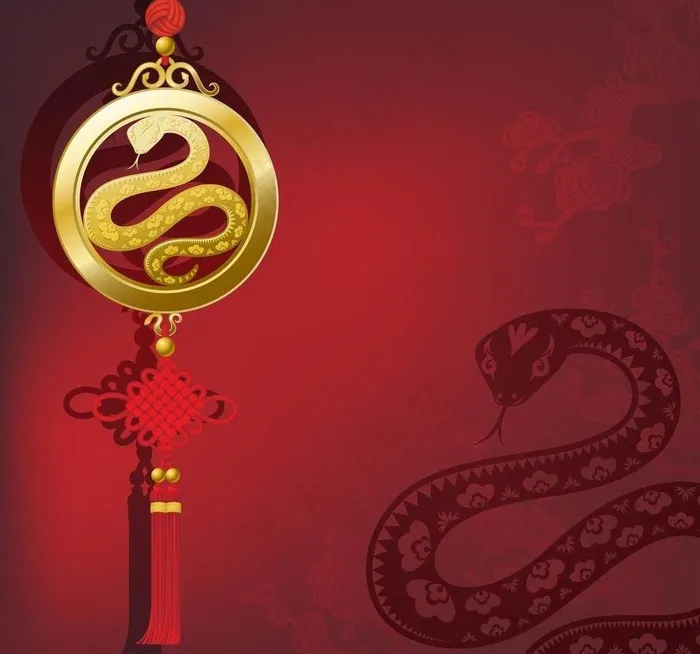 金蛇吊牌背景图片eps,ai矢量模版下载