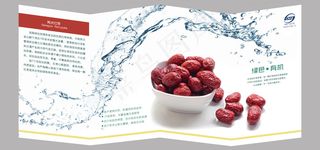 若羌红枣有机食品宣传册折叠风琴册