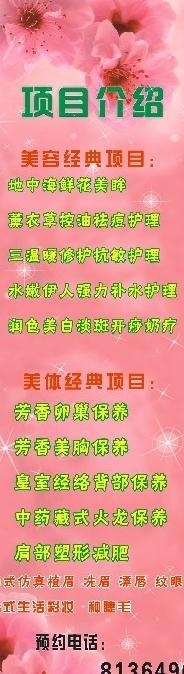 美容院项目介绍x展架图片(210X297)cdr矢量模版下载