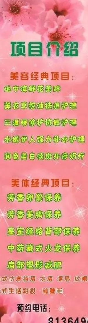 美容院项目介绍x展架图片