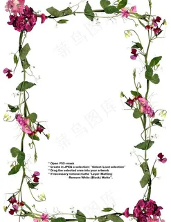 鲜花边框