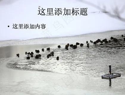 下雪的清晨电脑PPT(9)