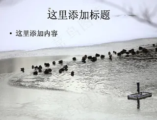 下雪的清晨电脑PPT(9)