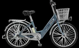 喜德盛 电动车图片