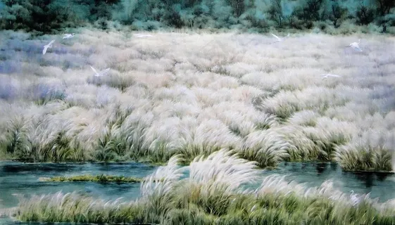 湿地图片 湿地图片
