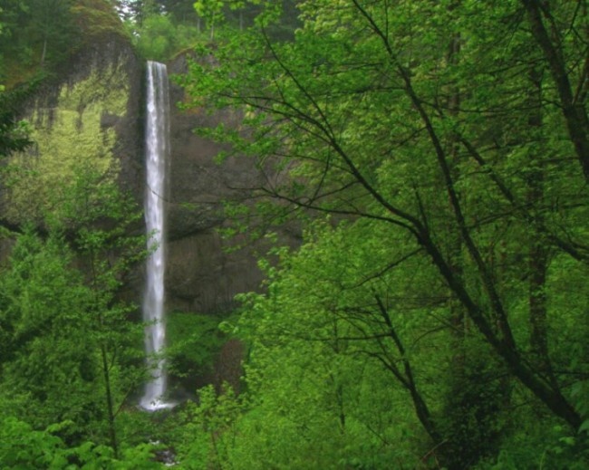 动态山水风景画视频