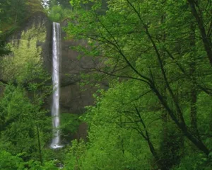 动态山水风景画视频